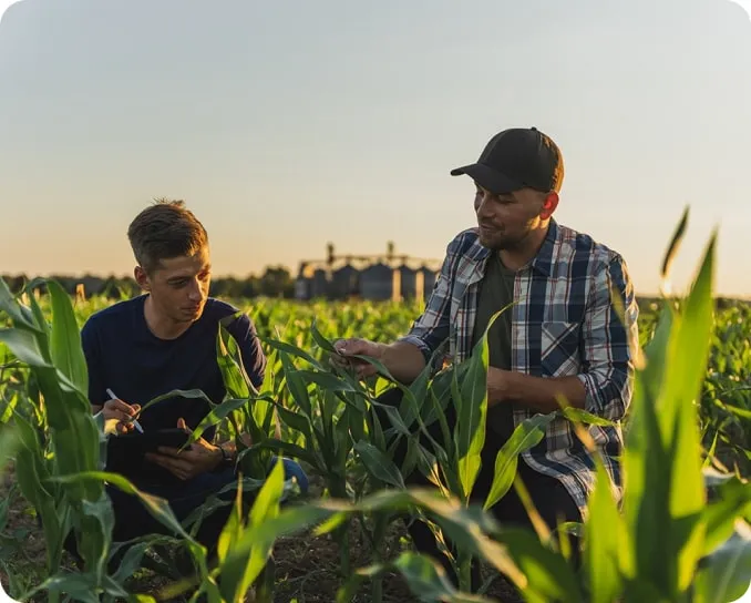 photo of people analyzing plants