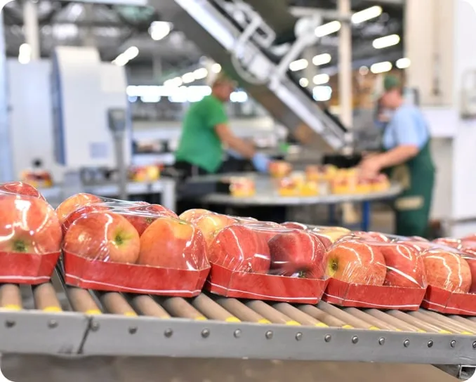 photo of packaged apples